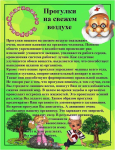 Прогулки на свежем воздухе.